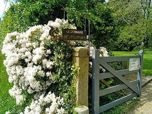 Le Domaine Des Ecureuils Feriehus Vassy